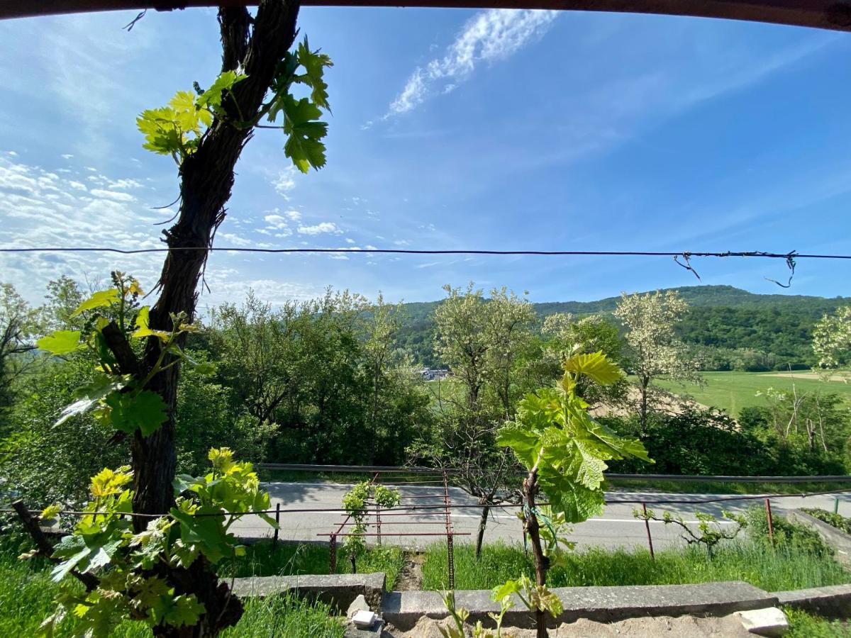 Apartman Verona Бузет Экстерьер фото