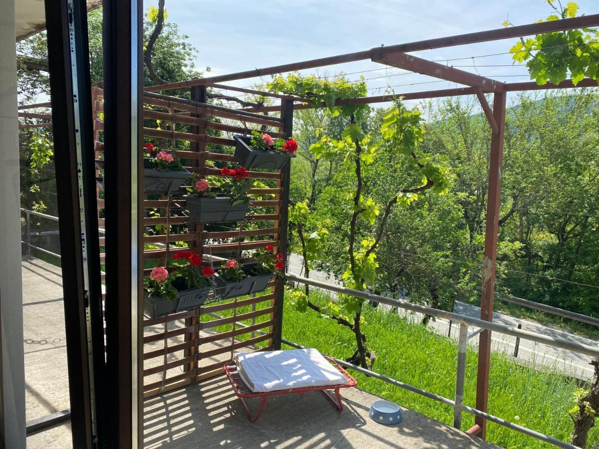 Apartman Verona Бузет Экстерьер фото