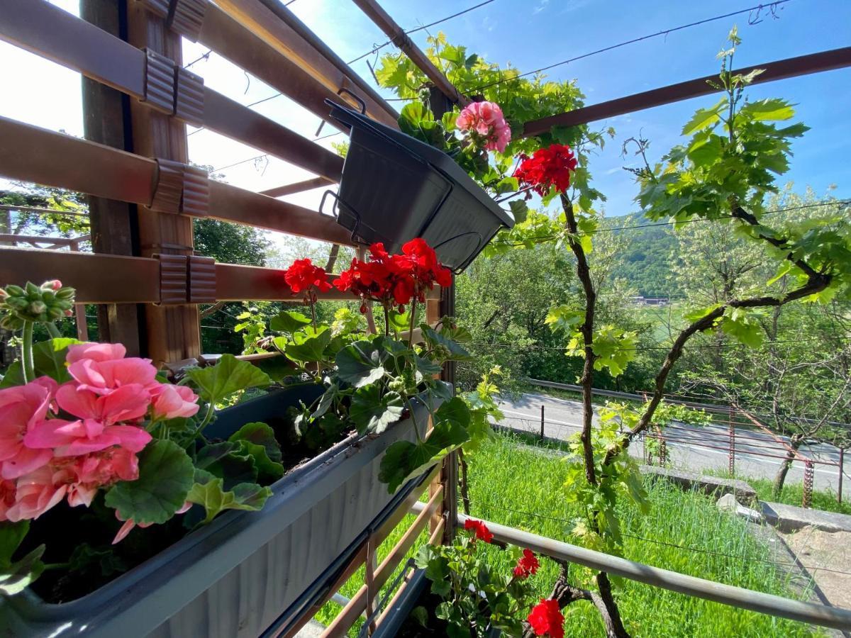 Apartman Verona Бузет Экстерьер фото